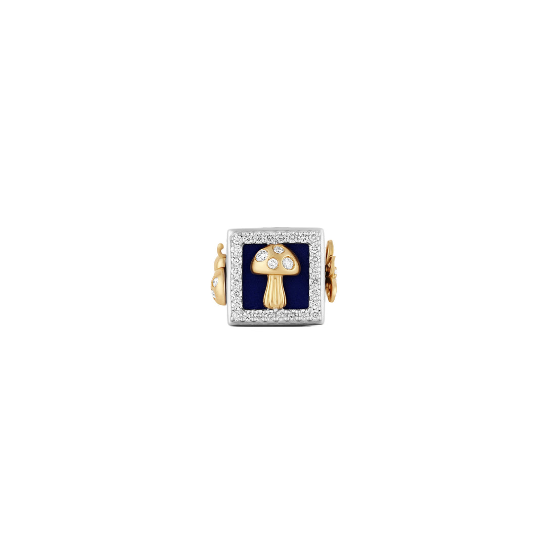 Floris Cube